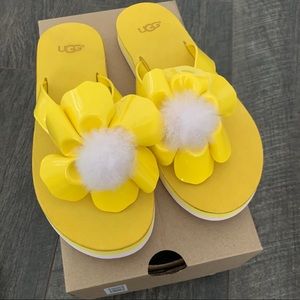UGG Flip Flop